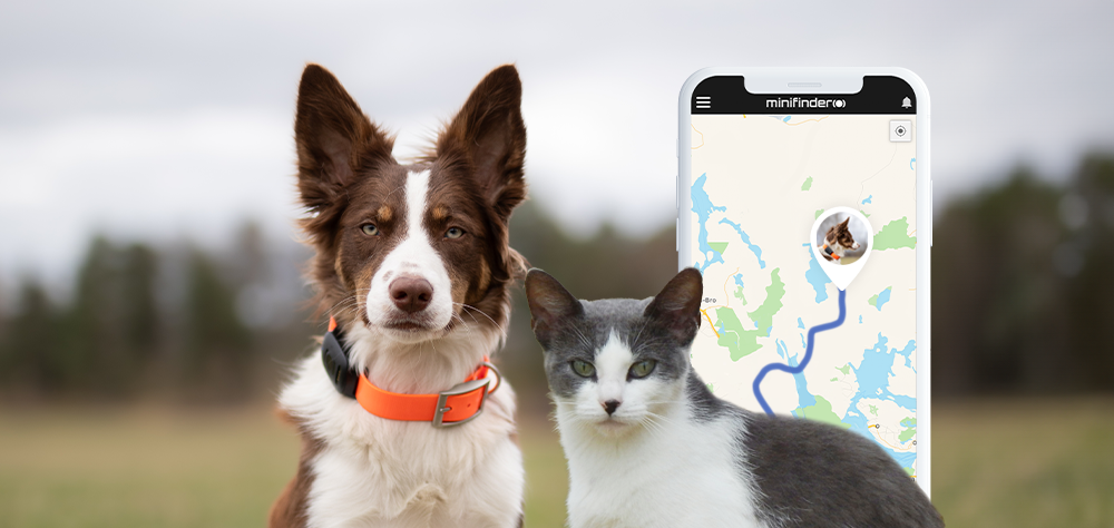 4 tips för bästa användning av Hund- och Katt GPS