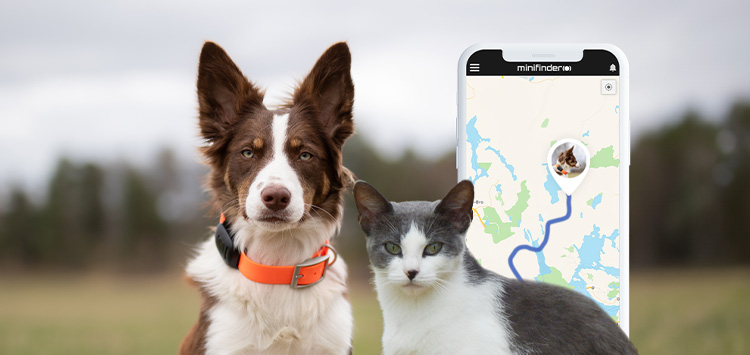 4 tips för bästa användning av Hund- och Katt GPS